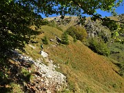 12 Usciamo dal bosco e continuiamo la salita della Val Carnera